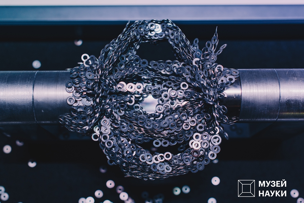 Киянам пропонують "записатися в нові Ілони Маски": як це зробити